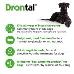 Drontal Tasty Wormer Tablets for Small Dogs