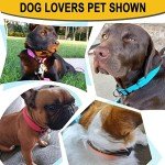 Reflective Adjustable Dog Collar with Neoprene Padding