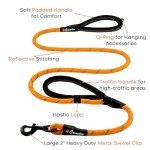 Sweetie Rope Dog Leash with Padded Handles - Orange