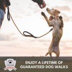 Sweetie Rope Dog Leash with Padded Handles - Orange