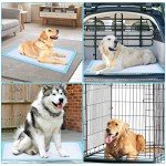 Ownpets Leak-Proof Dog Training Pads, 40 Count