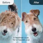 MalsiPree 2-in-1 Dog Grooming Brush for Shedding