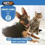 VetIQ Denti-Care Kit for Dogs and Cats