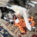 KONG Wild Knots Tiger Dog Toy - Medium/Large