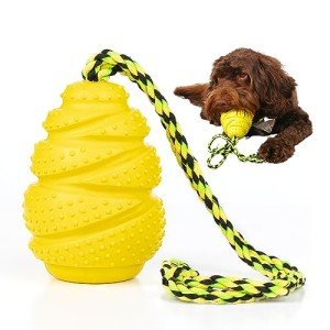 Ultimate Chew Toys Collection for Happy Dogs