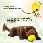 Ultimate Chew Toys Collection for Happy Dogs