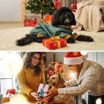 Ultimate Chew Toys Collection for Happy Dogs