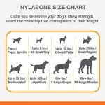 Nylabone Tough Chew Toy for Medium Dogs