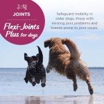 Flexi-Joints Plus for Dogs - 120 Beef Tablets