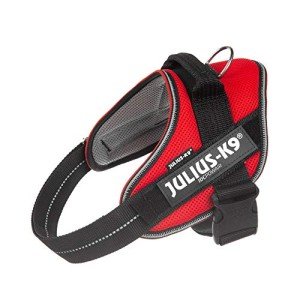Red IDC Powair Harness for Medium Dogs
