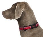 Comfortable Reflective Dog Collar - Medium, Red