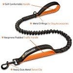 Sweetie Bungee Shock Absorbing Dog Leash