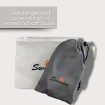 Sweetie Bungee Shock Absorbing Dog Leash