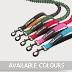 Sweetie Bungee Shock Absorbing Dog Leash