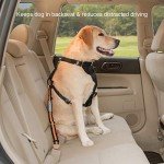 Kurgo Universal Dog Seat Belt Tether, Adjustable