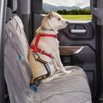 Kurgo Universal Dog Seat Belt Tether, Adjustable