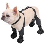 Waterproof Dog Boots with Adjustable Straps for Small Dogs