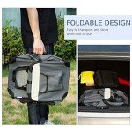 Portable Soft Pet Carrier Bag for Dogs & Cats