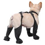 Waterproof Dog Boots with Adjustable Straps for Small Dogs