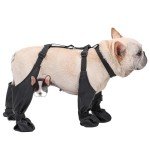 Waterproof Dog Boots with Adjustable Straps for Small Dogs