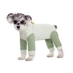 Striped Recovery Suit for Small Dogs - Green