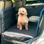 Dog Car Seat Hammock for All Dog Sizes