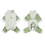 Striped Recovery Suit for Small Dogs - Green