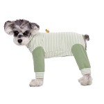 Striped Recovery Suit for Small Dogs - Green