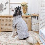 Kooltail Turtleneck Dog Sweater for Chill Days