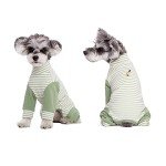 Striped Recovery Suit for Small Dogs - Green