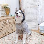 Kooltail Turtleneck Dog Sweater for Chill Days