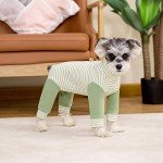 Striped Recovery Suit for Small Dogs - Green
