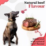 Indestructible Bone Shaped Dog Chew Toy