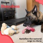 Indestructible Bone Shaped Dog Chew Toy