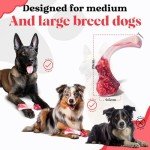 Indestructible Bone Shaped Dog Chew Toy