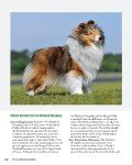 Complete Dog Book: Official Breed Standards & Profiles