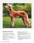 Complete Dog Book: Official Breed Standards & Profiles
