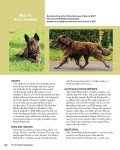 Complete Dog Book: Official Breed Standards & Profiles
