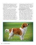Complete Dog Book: Official Breed Standards & Profiles