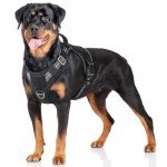 Rabbitgoo Large No-Pull Tactical Dog Harness