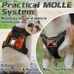 Rabbitgoo Large No-Pull Tactical Dog Harness