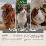 AniForte Ear Mite Drops for Dogs and Pets