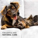 AniForte Ear Mite Drops for Dogs and Pets