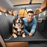 Dog Back Seat Extender and Car Hammock