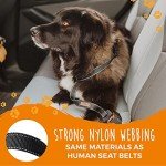 Mighty Paw Dog Seat Belt | Adjustable Safety Strap