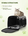 Pecute® Portable Dog and Cat Carrier Bag