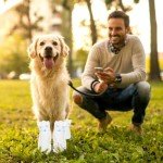 24 Pack Disposable Dog Boots for Injured Paws