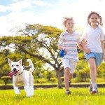 24 Pack Disposable Dog Boots for Injured Paws