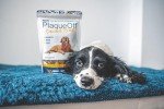 ProDen PlaqueOff Dental Bites for Dogs
