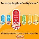 Nylabone Tough Lobster Chew Toy for Dogs